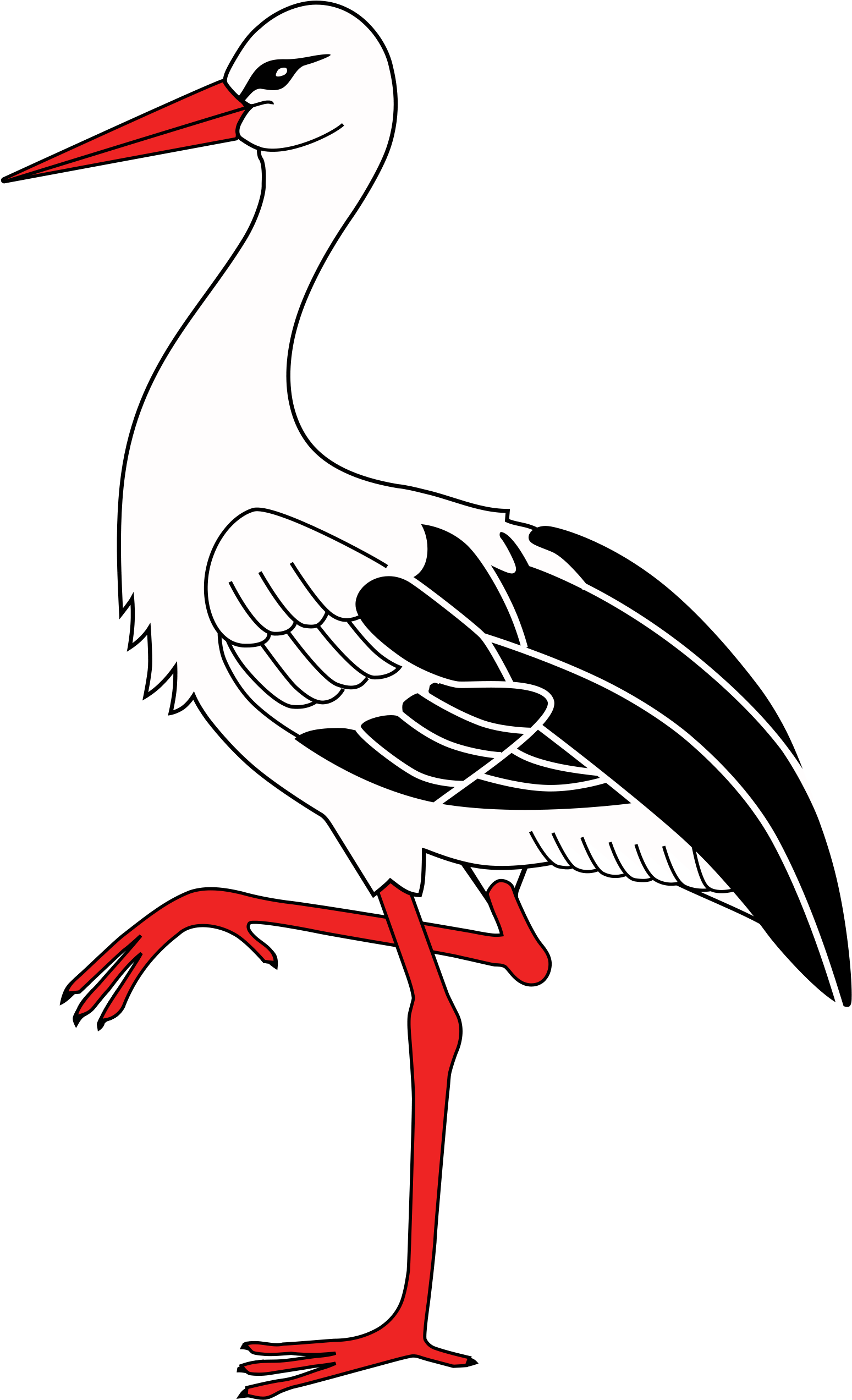 Stork Clip Art - Cigogne Png (2000x2752)