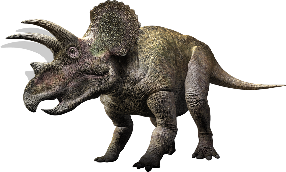 Triceratops Clipart Transparent - Dinosaur Ceratopsia (995x600)