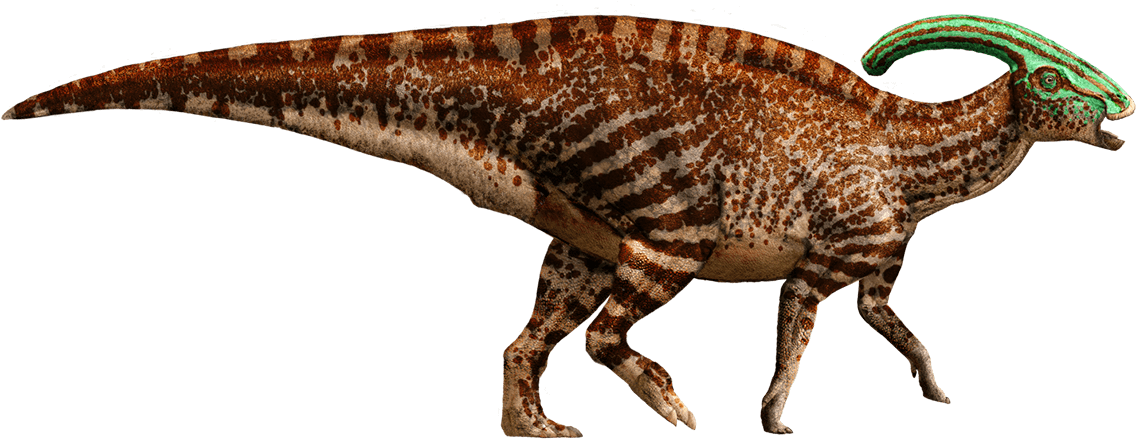 Triceratops Clipart Parasaurolophus - Jurassic World Parasaurolophus (1157x540)