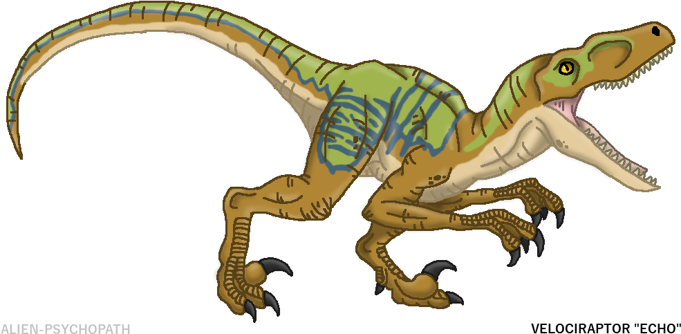 Tyrannosaurus Triceratops Stegosaurus Velociraptor - Jurassic World (986x500)
