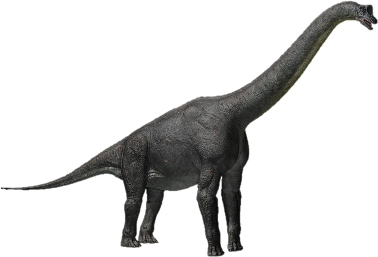 Ankylosaurus Clipart For Kids - Last Day Of The Dinosaurs Triceratops (1279x862)