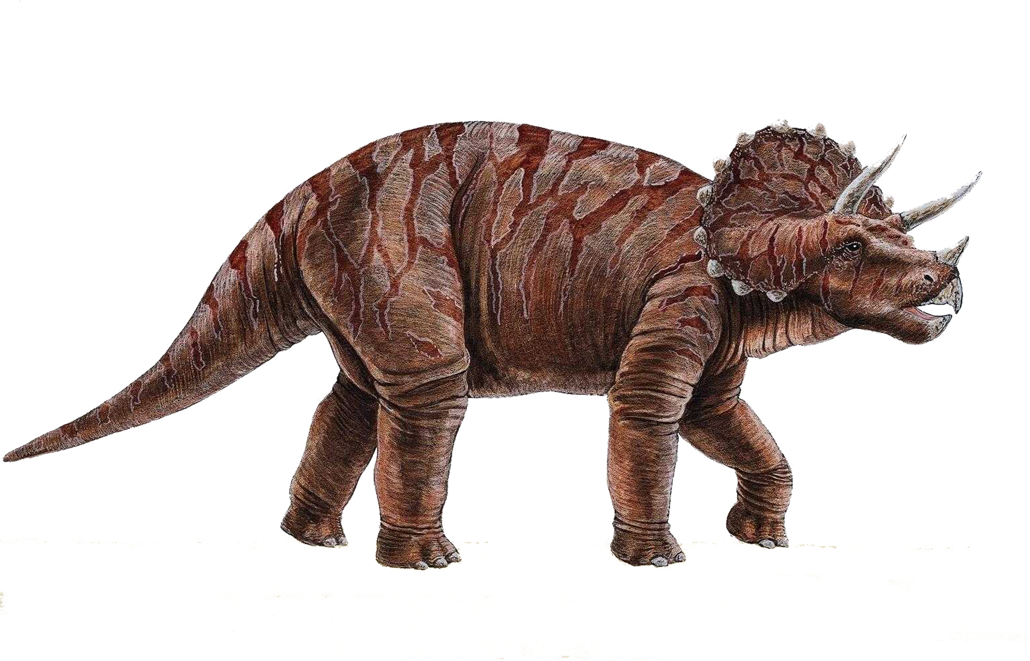 Dinosaur In Png - Fantastic Facts About Dinosaurs (3543x2362)