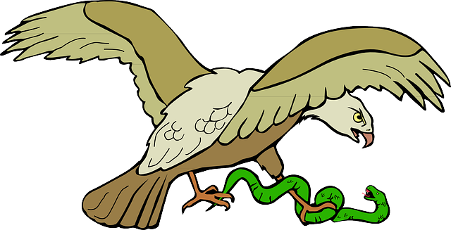 Snake, Symbol, Eagle, Bird, Wings, Claws, Caught, With - La Serpiente Y El Aguila (640x327)
