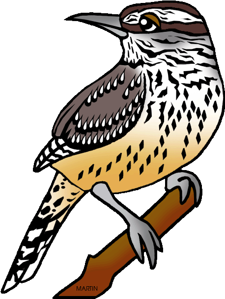 Wren Clipart Small Bird - Cactus Wren Clip Art (498x648)