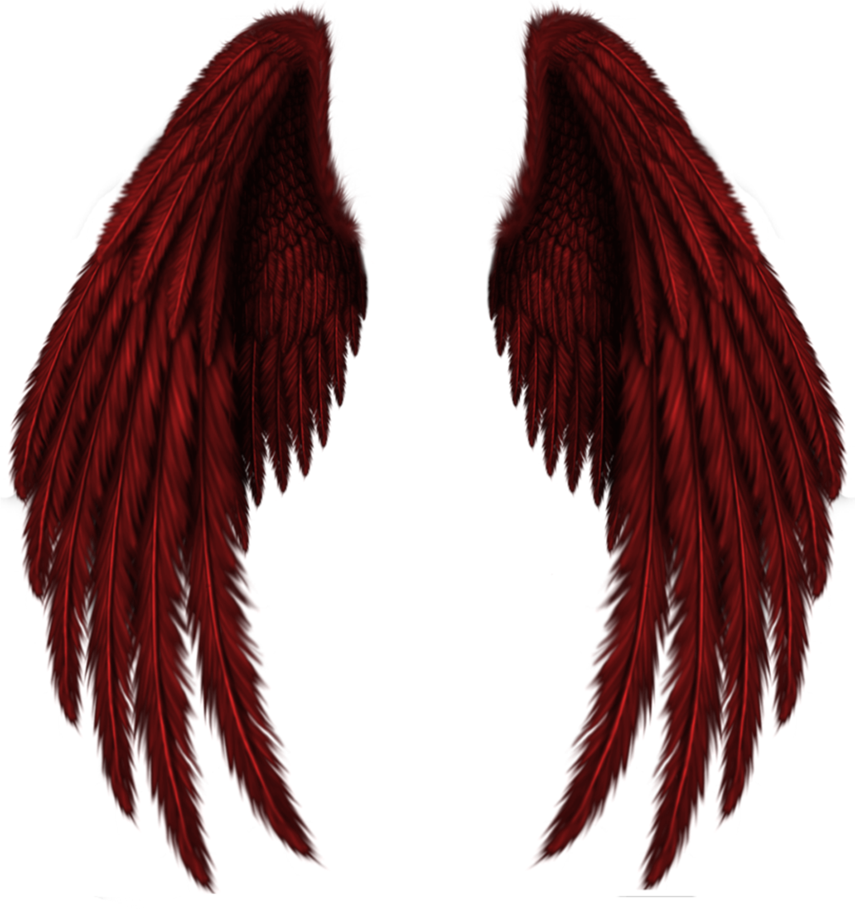 Transparent Red Wings Png Clipart Picture - Red And Black Wings (1731x1859)
