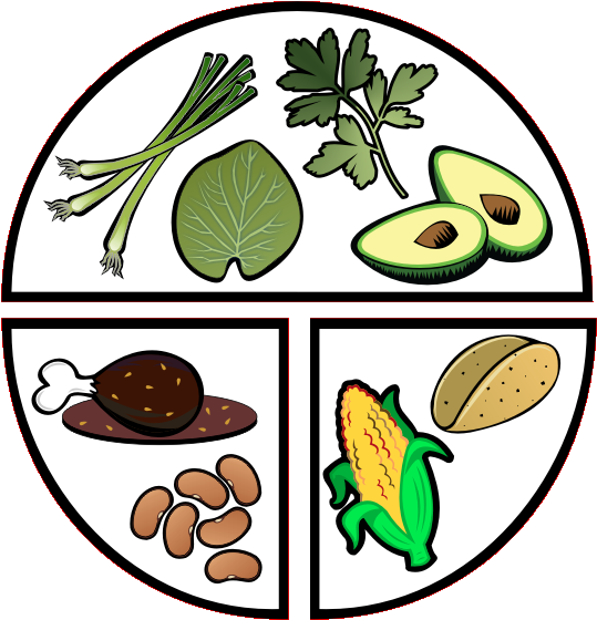 Spanish My Plate - Balıkesir Tabip Odası (546x574)