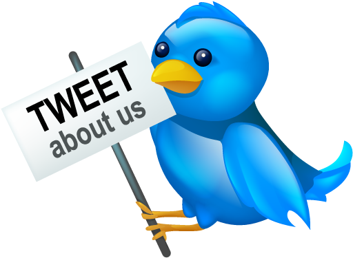 Twitter About Our Png Image - Social Media (512x512)