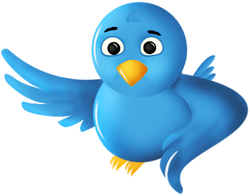 Twitter Bird Png Transparent - Animated Bird No Background (360x360)