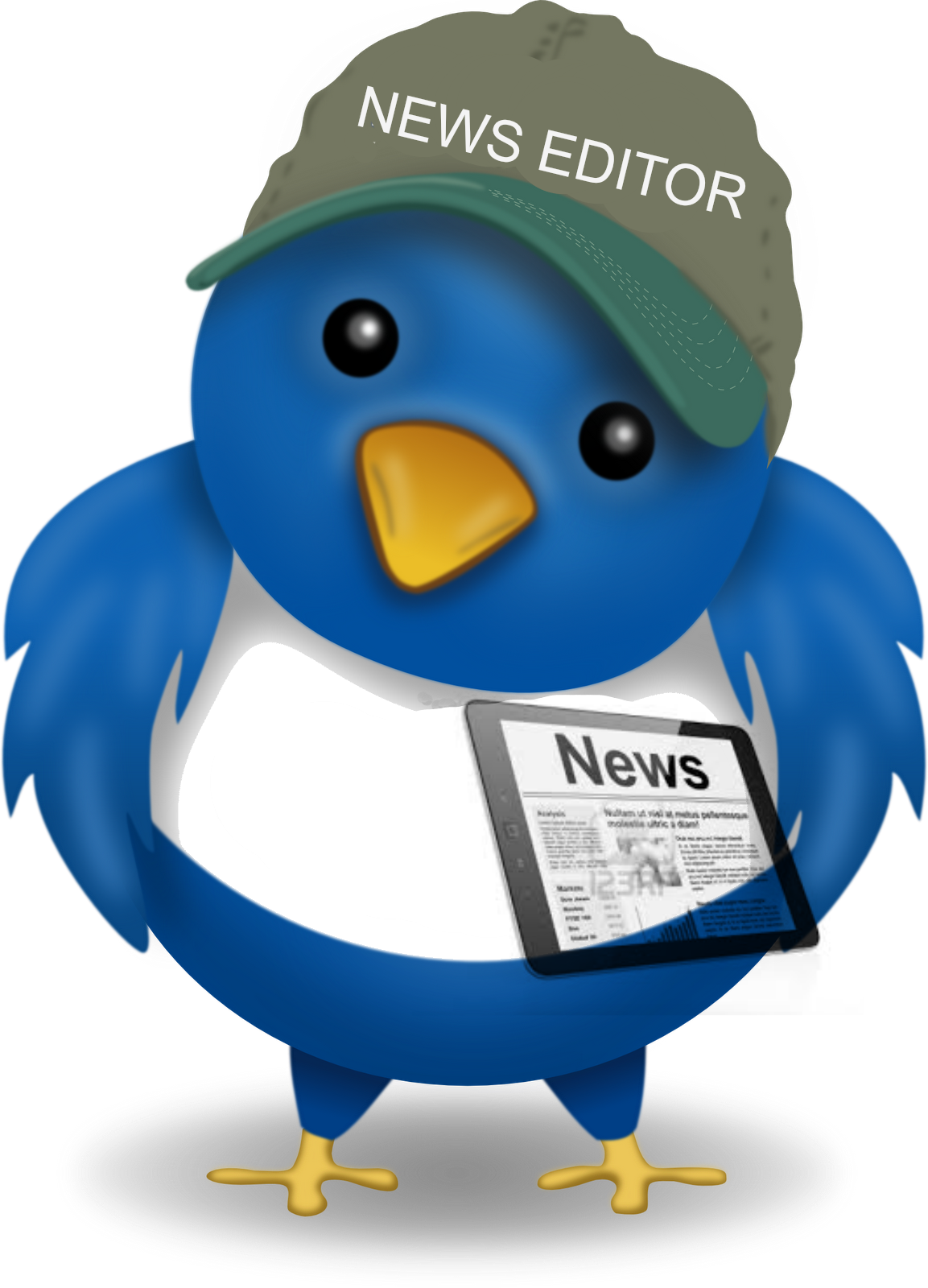 Twitter Bird News - Twitter Journalism (1153x1600)