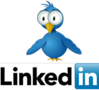 Twitter Bird And Linkedin - Linkedin: 30 Highly Effective Strategies For Attracting (350x350)