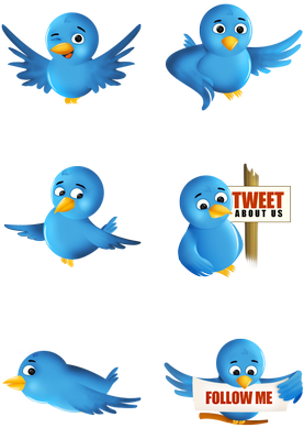 Search - Twitter Bird (380x444)