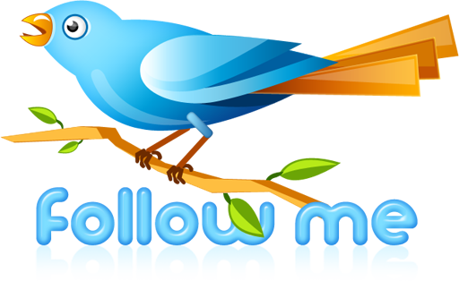 Twitter Bird Followme - Follow Me On Twitter Transparent (512x314)