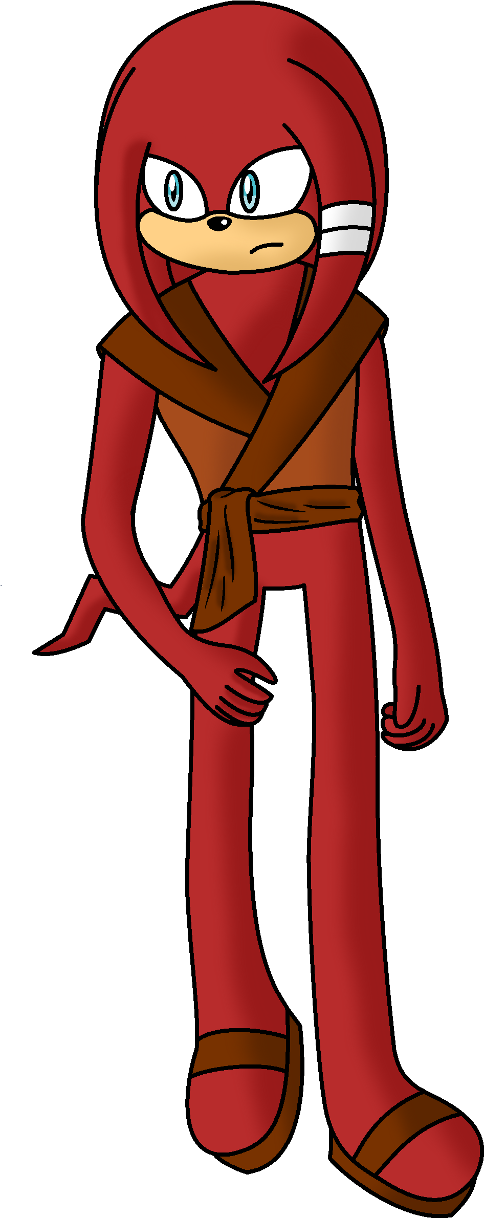 Elias The Echidna - Cartoon (1016x2528)