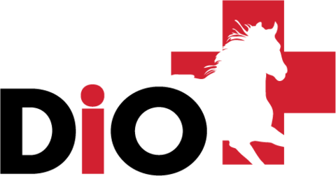 Utilize Both Formulas To Ensure That Your Horse Is - Liniment (480x252)