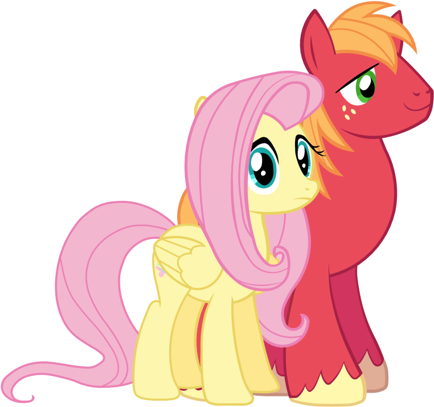 My Little Pony Fluttershy Big Mac & - Mlp Fluttershy And Big Mac (900x865)