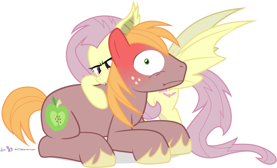 Pin Mlp Big Mac Big Macintosh And Fluttershy Fanfic - My Little Pony Fluttershy Bat (1000x600)