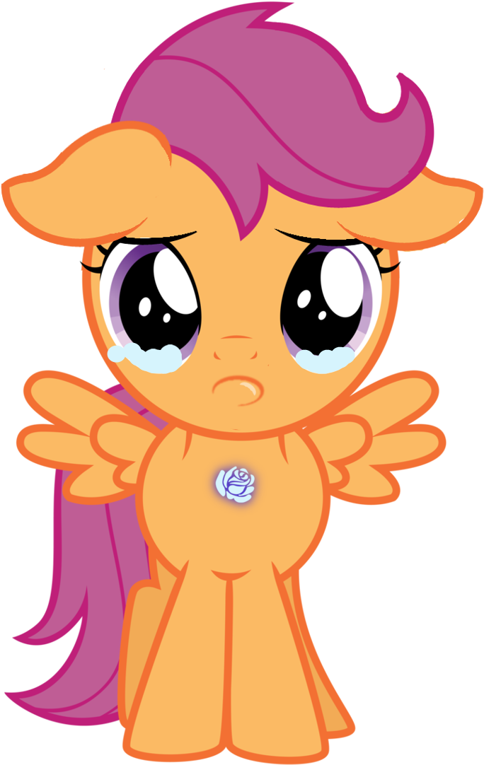 My Little Pony Character Fandom Know Your Meme - My Little Pony Scootaloo (693x1154)
