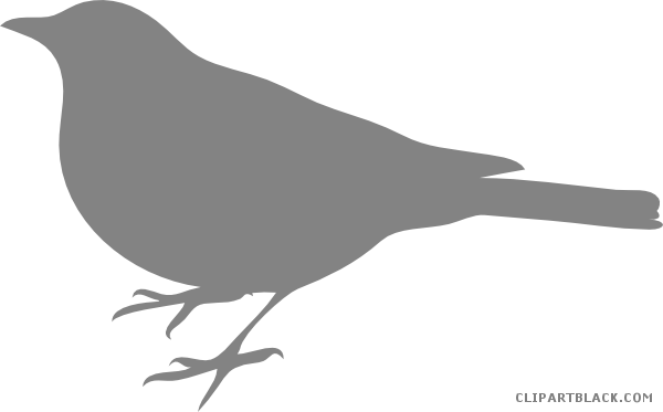 Baby Bird Animal Free Black White Clipart Images Clipartblack - Bird Silhouette Clip Art (600x373)