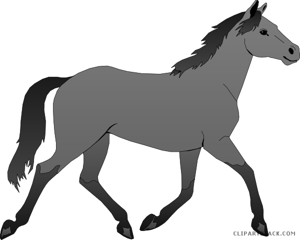 Baby Horse Animal Free Black White Clipart Images Clipartblack - Phillip Island (600x481)