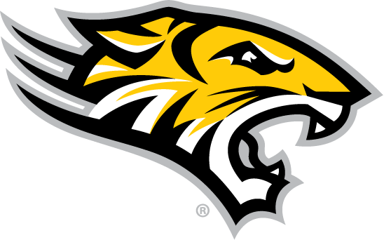 Full Color Tiger Head Graphic, Download - Towson Logo (548x342)