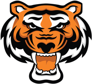 Rawlings Tigers - Fierce Logo - Rawlings Tigers Logo (400x300)