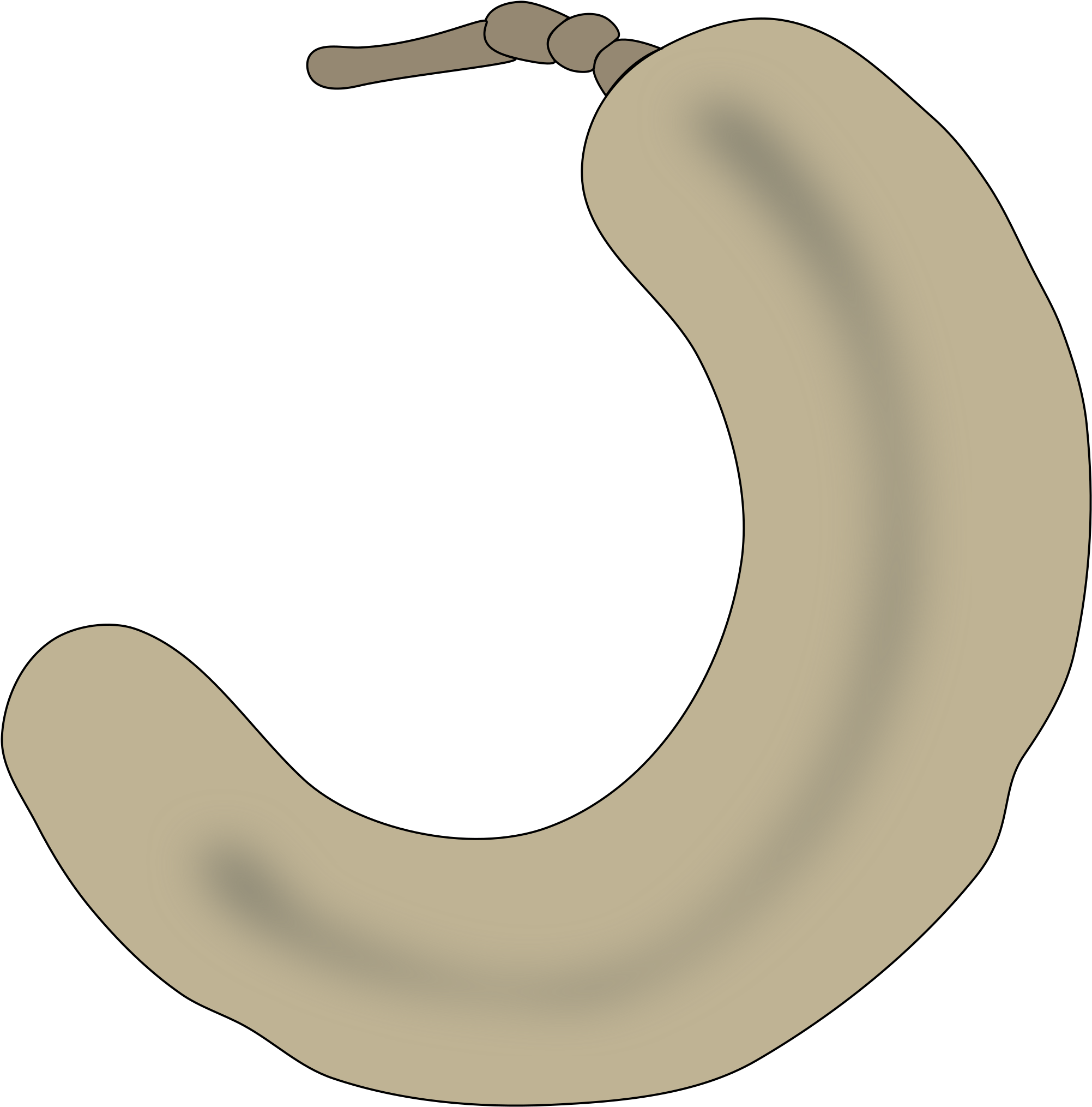 Tamarind Png - Tamarind Clipart (2400x2400)