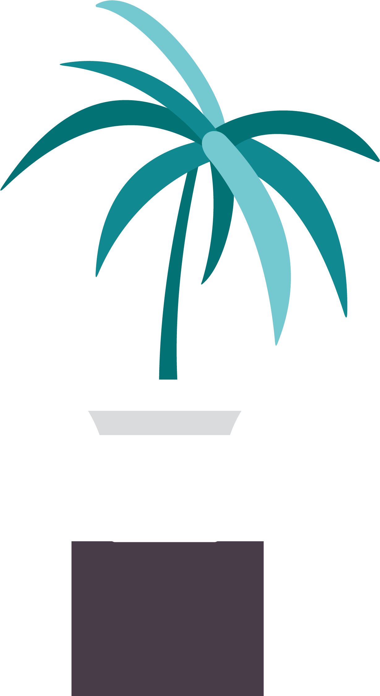 Plant Bonsai Bamboo - Plant Bonsai Bamboo (1797x2995)