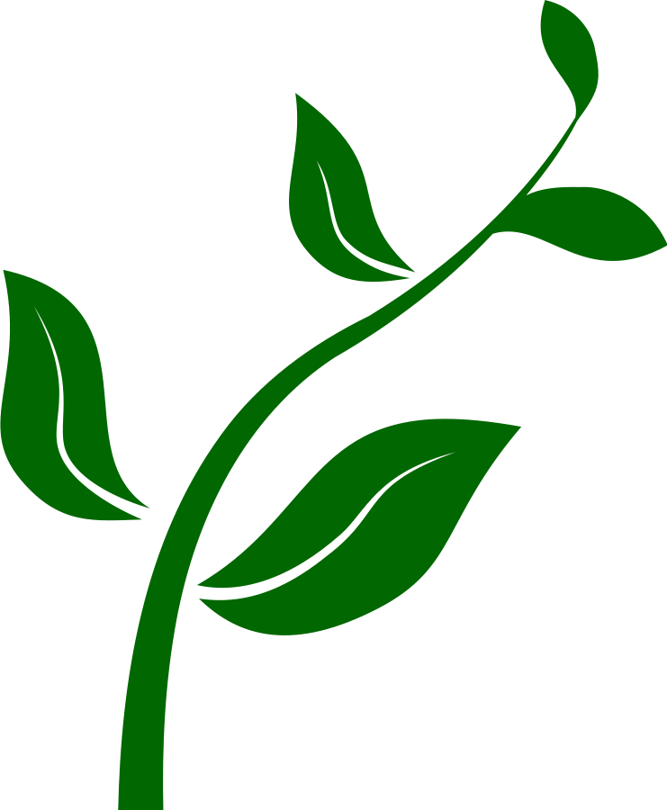 Plant Clipart - Growing Plant Clip Art (1977x2400)