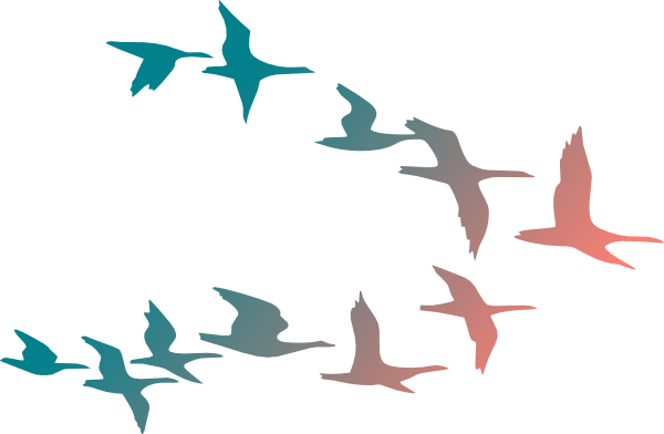 Colorful Birds Flying Clipart (600x392)
