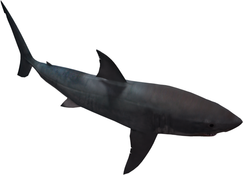 Great White Shark 05 By Wolverine041269 On Clipart - Great White Black Silhouette (1024x639)