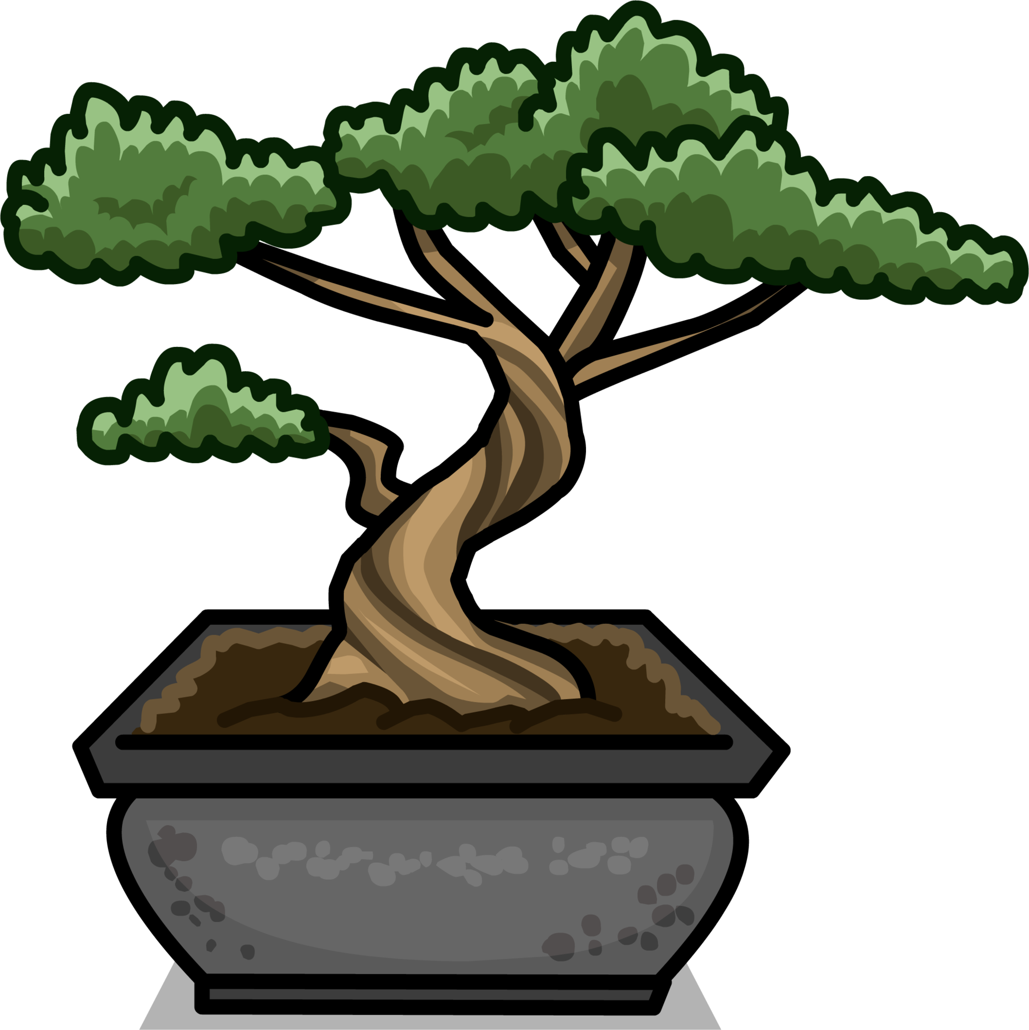 Bonsai Tree Sprite 003 - Sageretia Theezans (2000x2001)