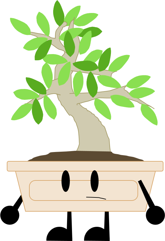 Elm Bonsai - Elm Bonsai (534x780)