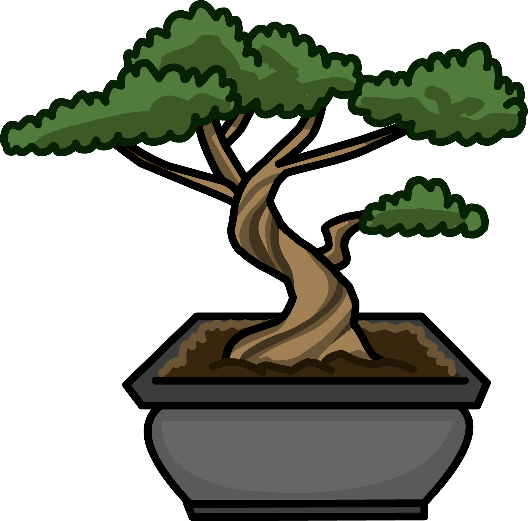 Bonsai Tree Icon - Bonsai (2030x2003)