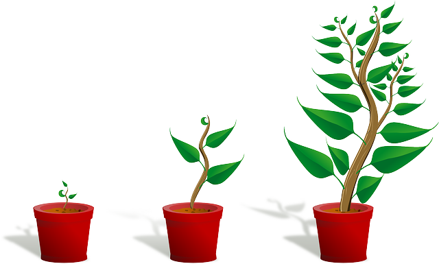 Sapling, Plant, Growing, Seedling, Growth, Potted Plant - Getting To Know Plants (640x385)