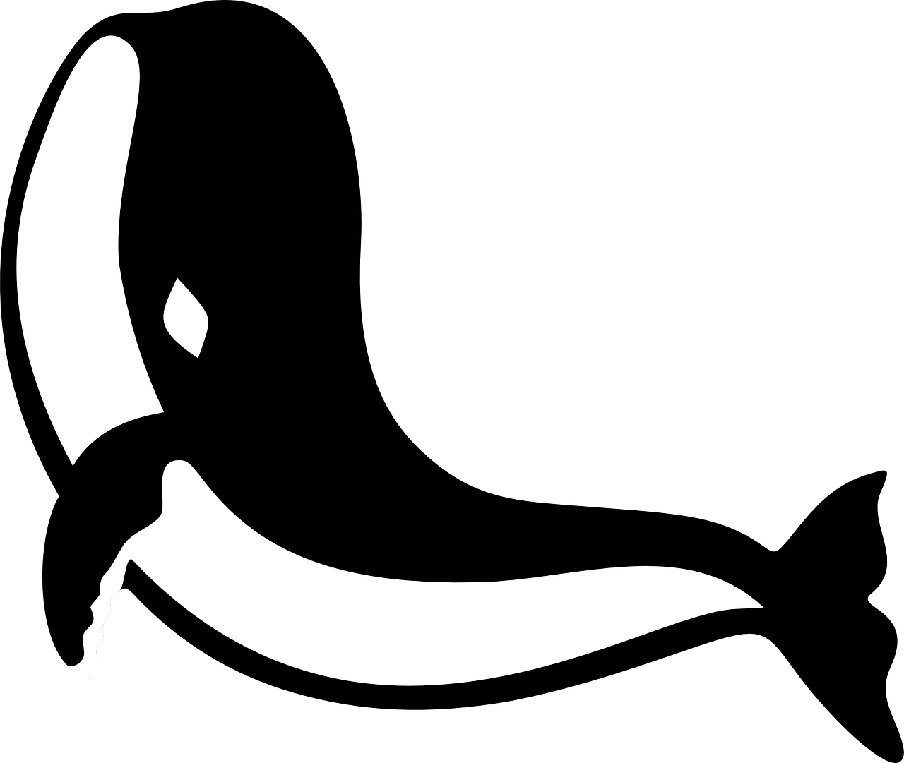 Big Image - Baleia Em Png (1280x1081)