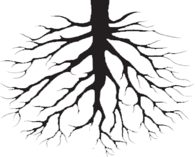 Tree Roots Clip Art - Biffy Clyro Opposites Vinyl Record (386x311)