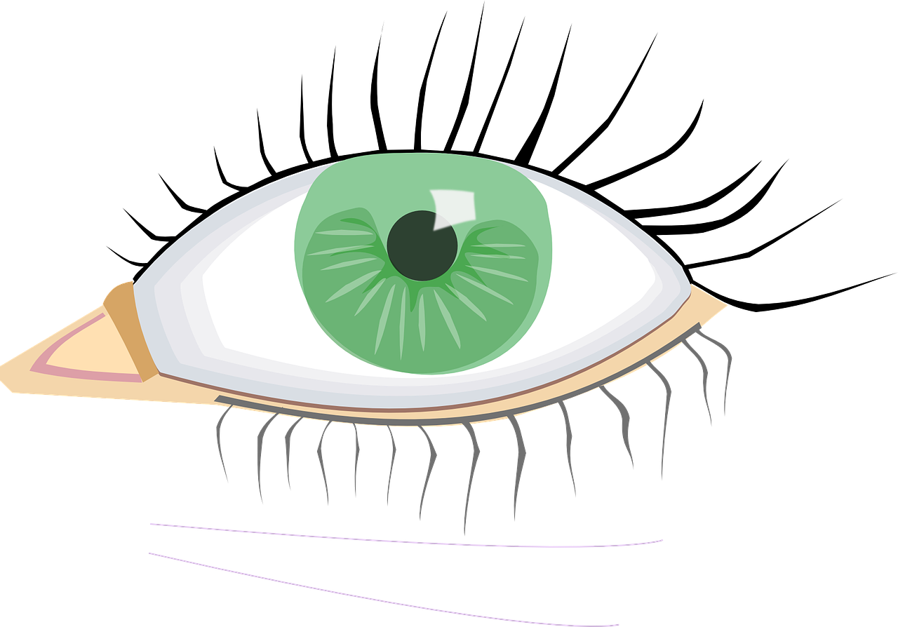 Eye Clip Art (1280x894)