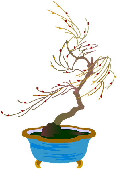 Bonsai (480x640)
