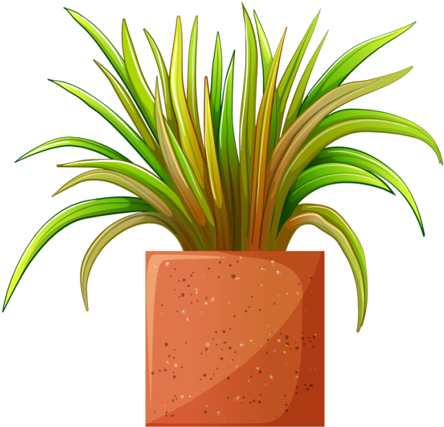 Clip Art Of Beautiful Plants For The Spring Garden - Clipart A Potted Plant (640x609)