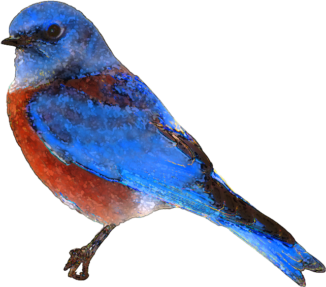 Blue Bird Clipart Png - Bluebird Clipart (782x698)