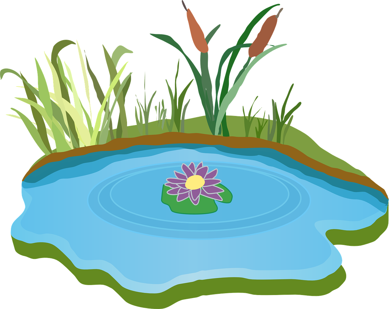 Pond Clipart Rain Water - Lake Clipart (1280x1018)