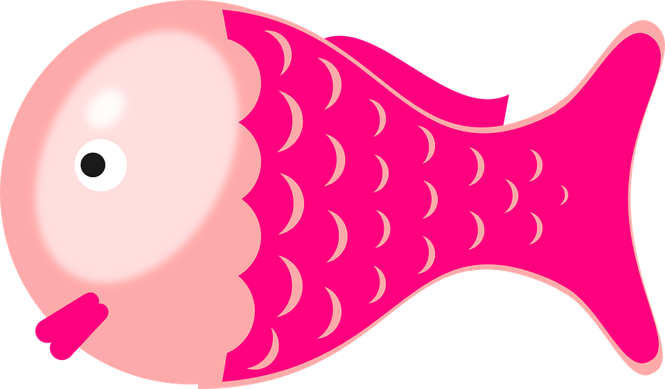 Fish, Cartoon, Cute, Isolated, Character - รูป ปลา การ์ตูน น่า รัก (960x562)