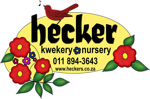 What The Fungi - Map (506x333)