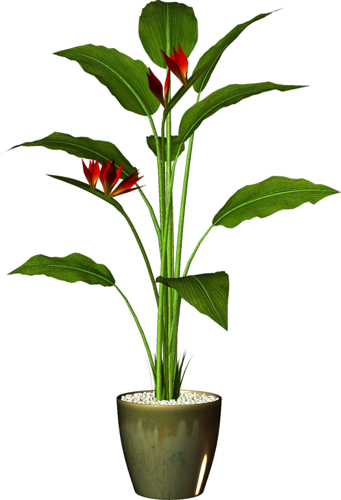 Transparent Pot Plant Png (698x1024)