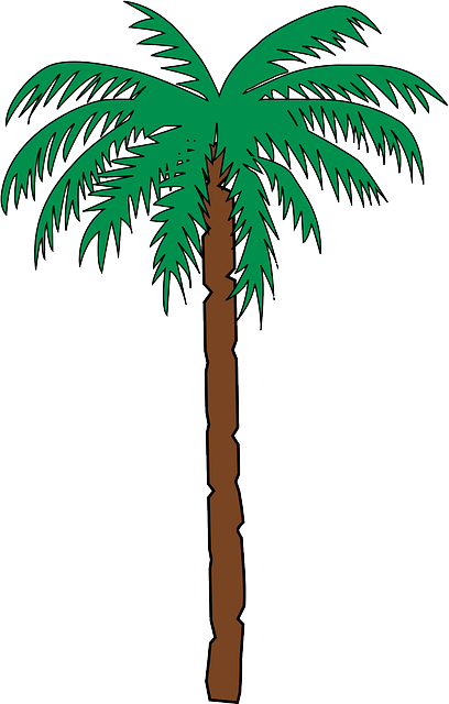 Tall Palm Tree - Haiti Coat Of Arms (408x640)