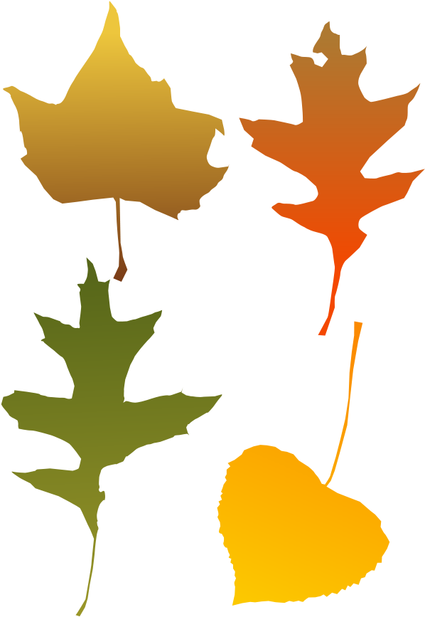 Autumn Leaves - Blade I Efterår Transparent (636x900)