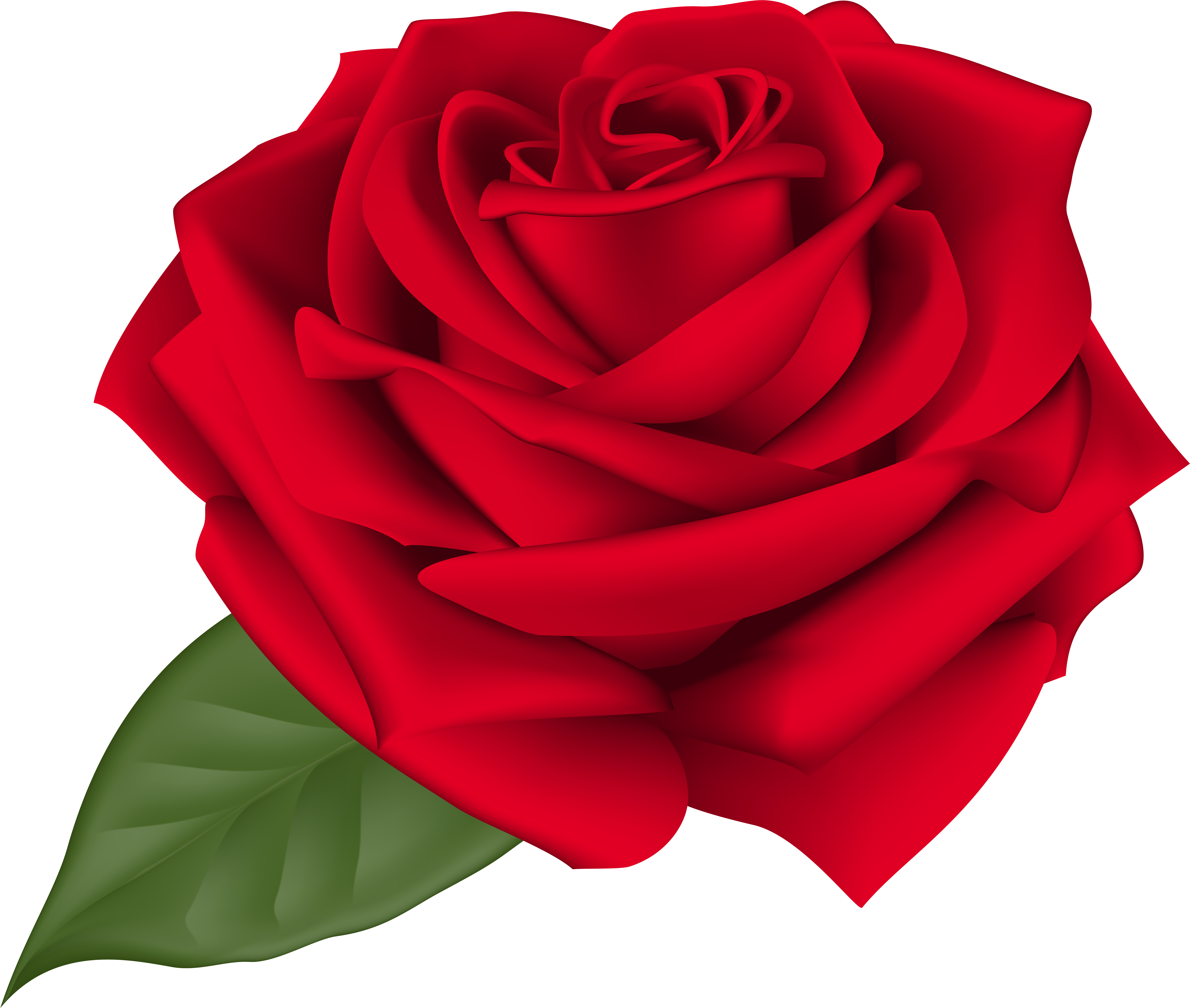 Rose Red Transparent Png Clip Art Imageu200b Gallery - Rose Red Transparent Png Clip Art Imageu200b Gallery (8000x6777)