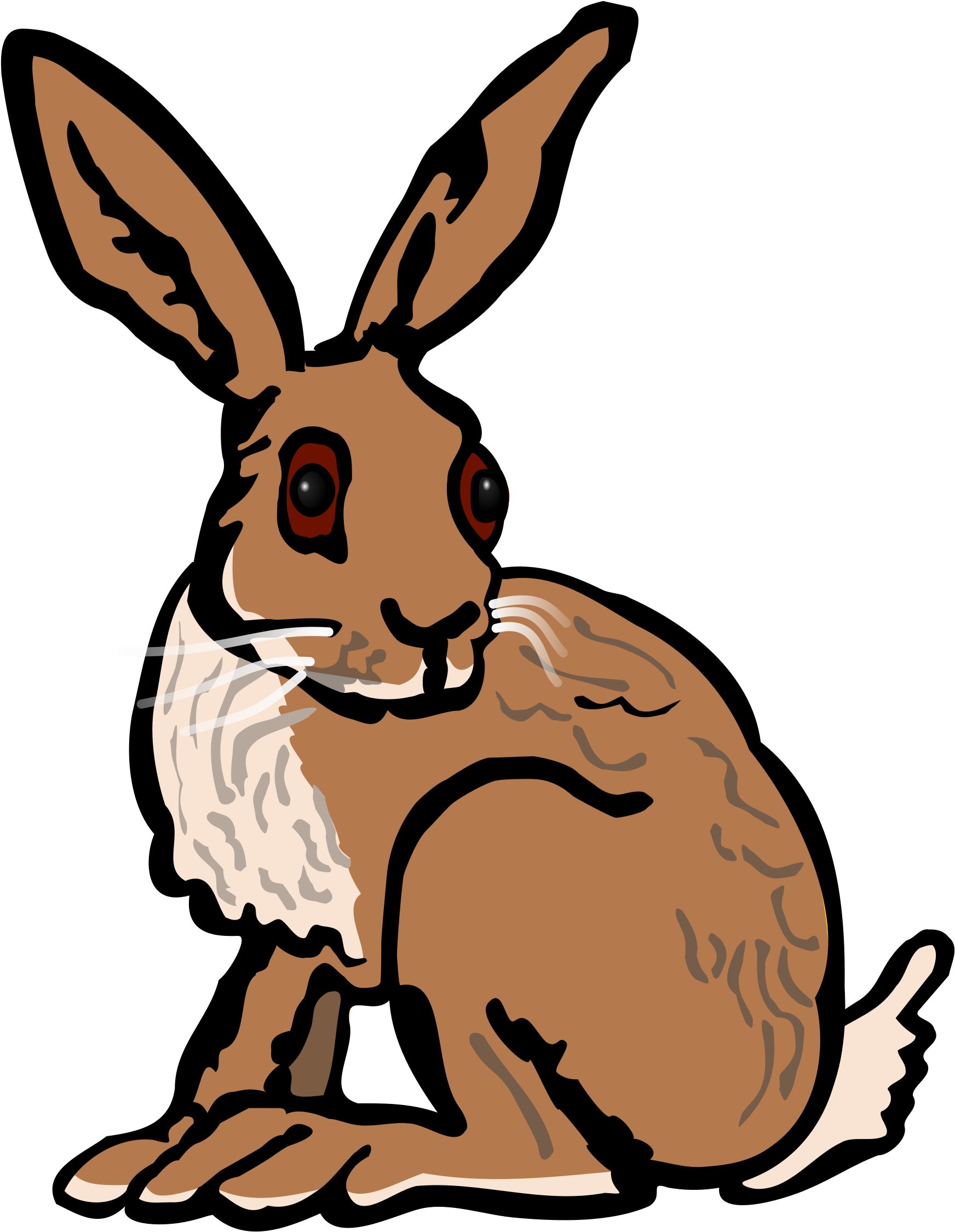 Hare Clip Art - Hare Clipart (1893x2400)
