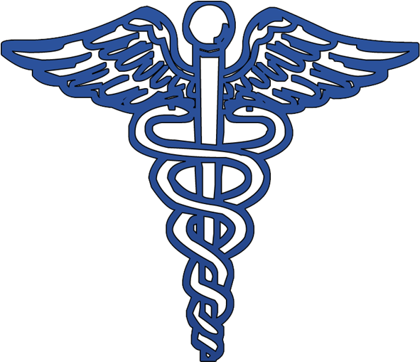 Physician Cliparts - Logo De La Salud (600x600)