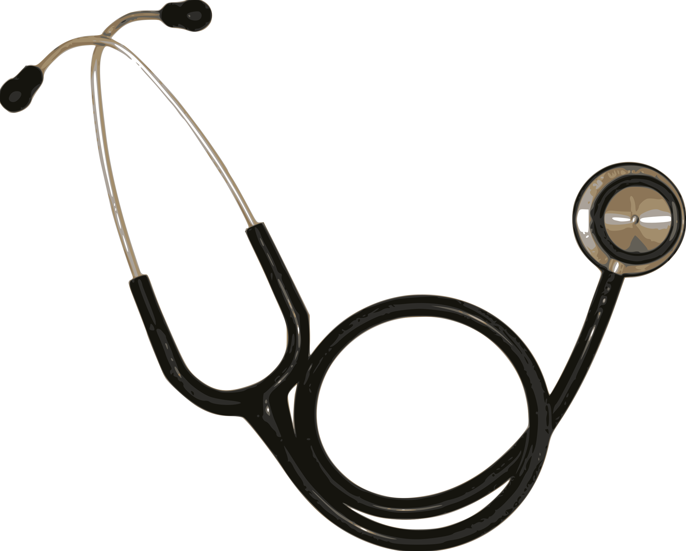 Stethoscope Clip Art Images Black And White Jan - Stethoscope Png (2400x1928)